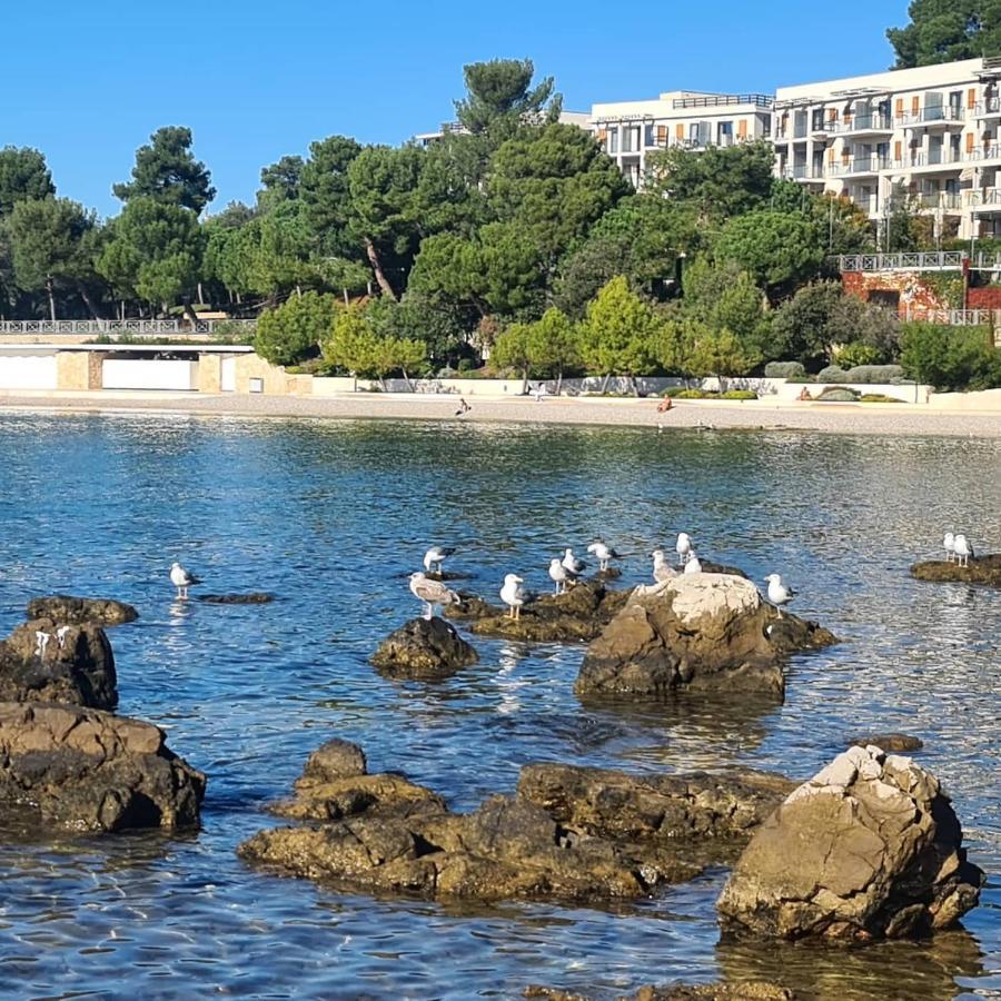 Vila Tena Rovinj Croatia Exterior photo